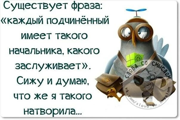 Статусы прикольные ржачные в картинках про работу