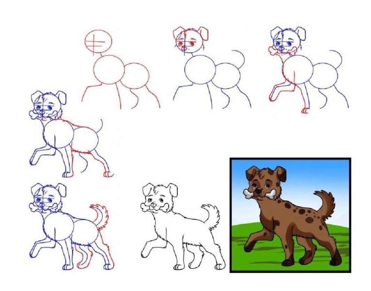 Рисунки собак для срисовки (70 картинок)