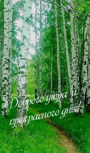 С добрым утром! 80 картинок с природой