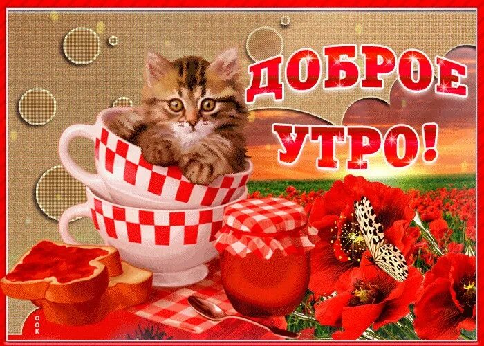 С добрым утром! 90 картинок с котиками