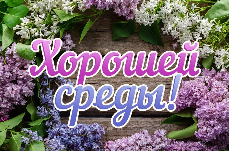 С добрым утром среды! 140 новых картинок