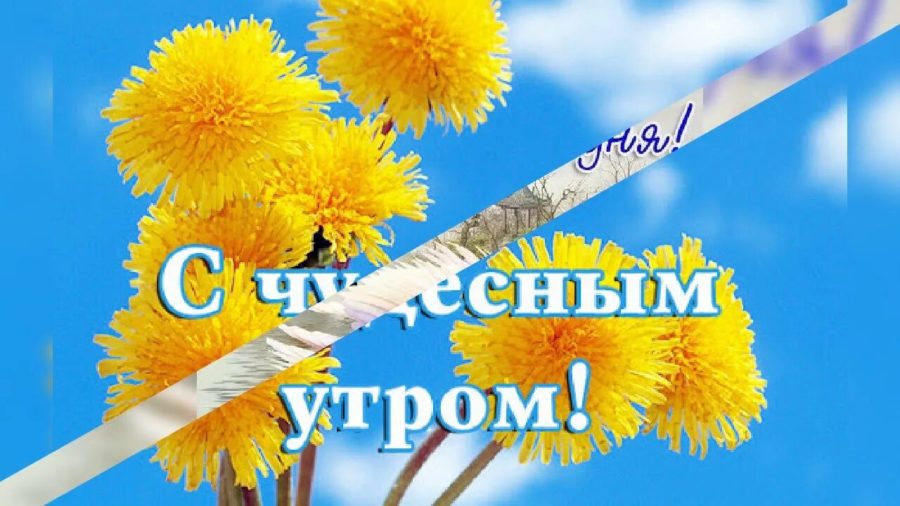 С добрым утром вторника! 210 новых картинок