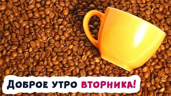 С добрым утром вторника! 210 новых картинок