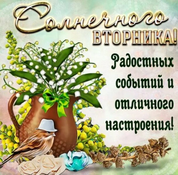 С добрым утром вторника! 210 новых картинок