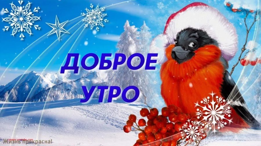 С добрым зимним утром! 220 открыток