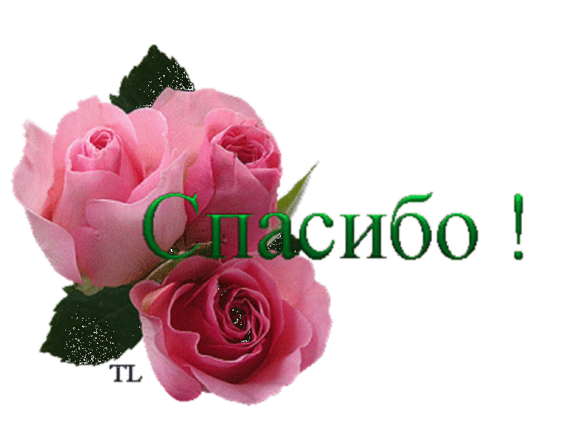 Просто красивое спасибо. Спасибо. Открытки со словом спасибо. Стикер спасибо большое. Стикеры благодарности.