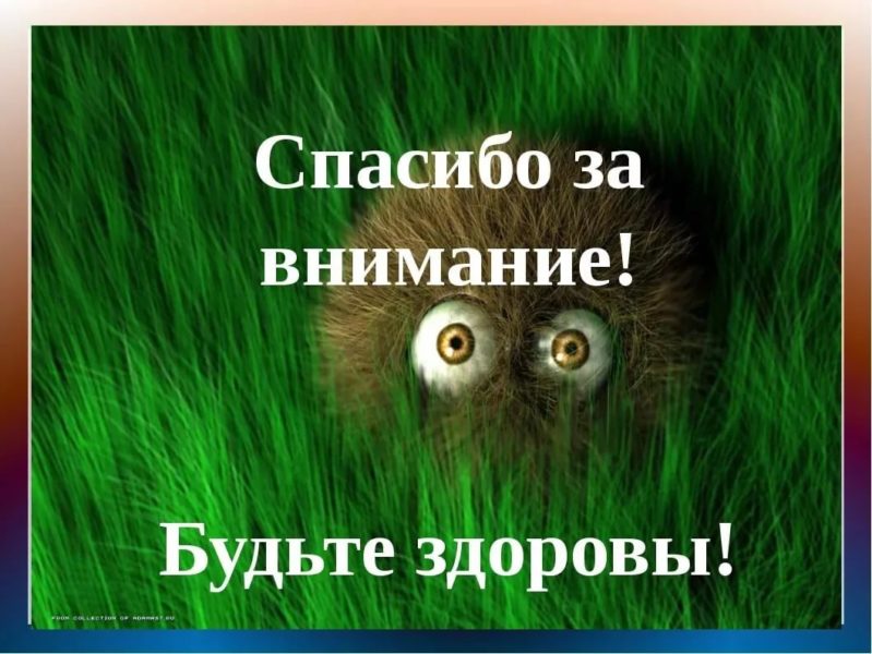 Спасибо за внимание! 165 картинок для презентации