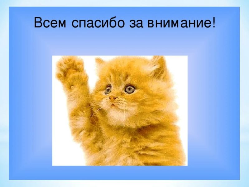 Спасибо за внимание! 165 картинок для презентации