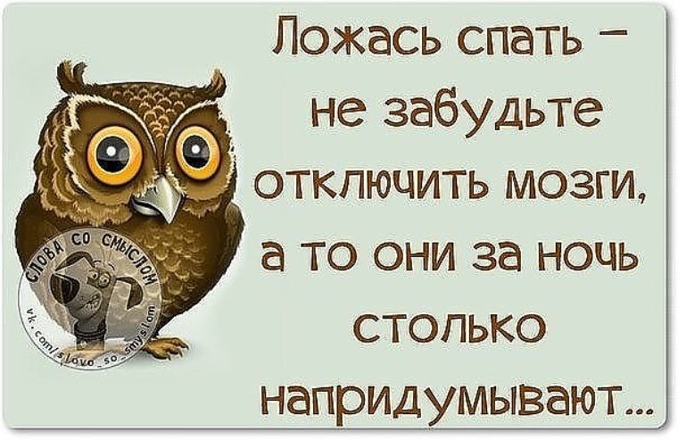 Спокойной ночи - прикольные и смешные картинки с надписями