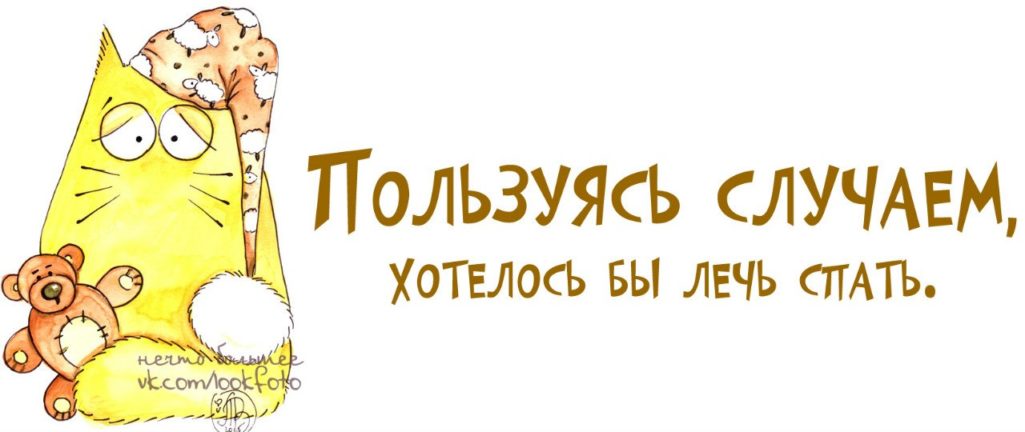 Спокойной ночи - прикольные и смешные картинки с надписями