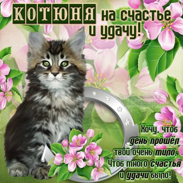 Удачи! 155 прикольных картинок